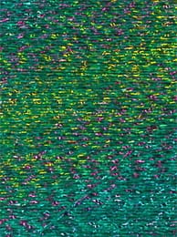 982282-g